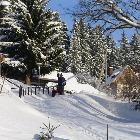 Prázdninový dům Elfi By Interhome Eisenbach (Breisgau-Hochschwarzwald)