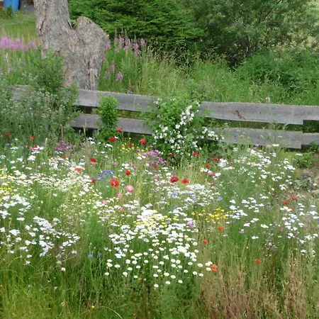 Elfi By Interhome Eisenbach (Breisgau-Hochschwarzwald)