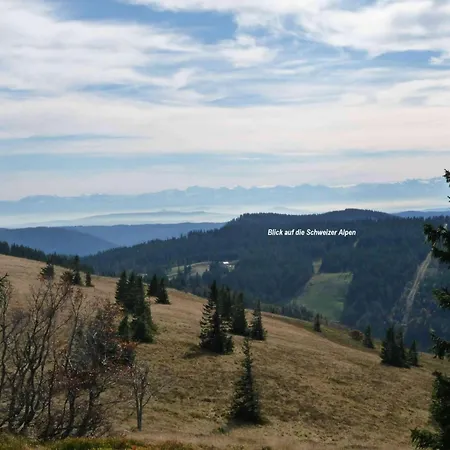 Elfi By Interhome Eisenbach (Breisgau-Hochschwarzwald)