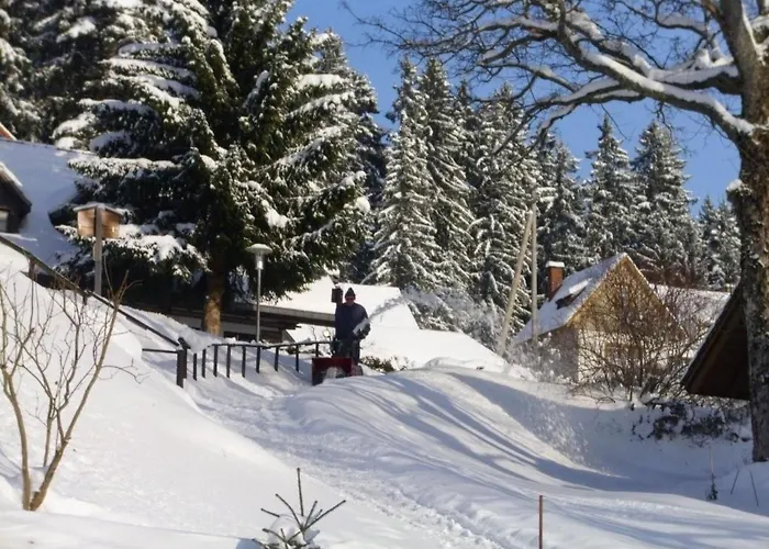 Holiday home Elfi By Interhome Eisenbach (Breisgau-Hochschwarzwald)