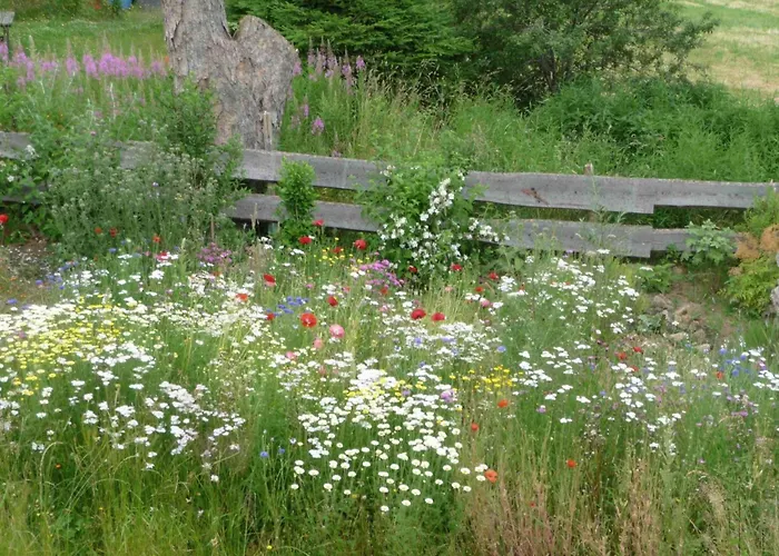 Elfi By Interhome Eisenbach (Breisgau-Hochschwarzwald)