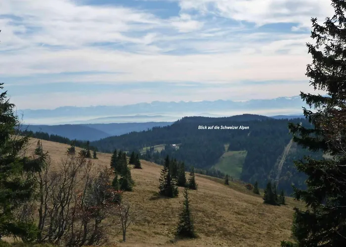 Elfi By Interhome Eisenbach (Breisgau-Hochschwarzwald)